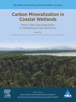 cover image of Carbon Mineralization in Coastal Wetlands